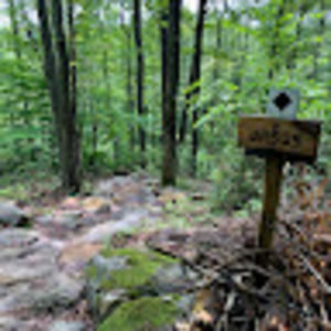 Meet your Posher, Josh